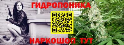 молекула духа Комсомольск-на-Амуре