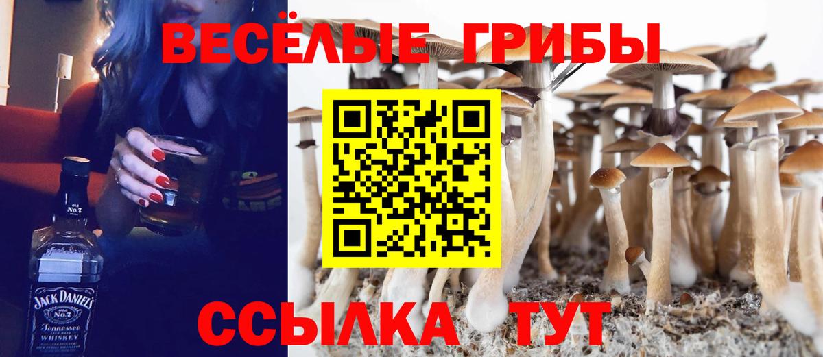 Галлюциногенные грибы GOLDEN TEACHER Кулебаки